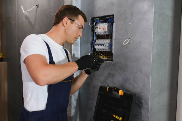 Best Electric Panel Repair  in Dickinson, ND